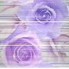 18121-4154118 composition 7021 lavanda purpura bouquet iii  (