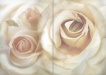 D.Romance Rosa